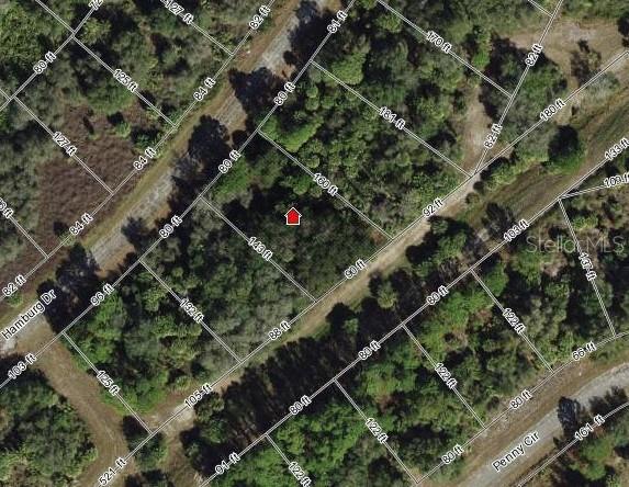 Lot 3 HAMBURG DR — photo 3