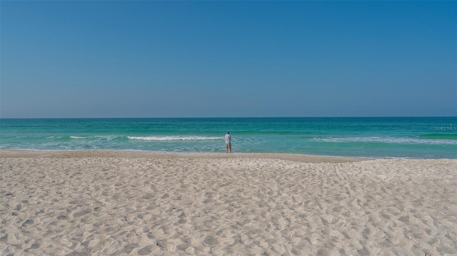 2109 GULF OF MEXICO DR #1203 — photo 49