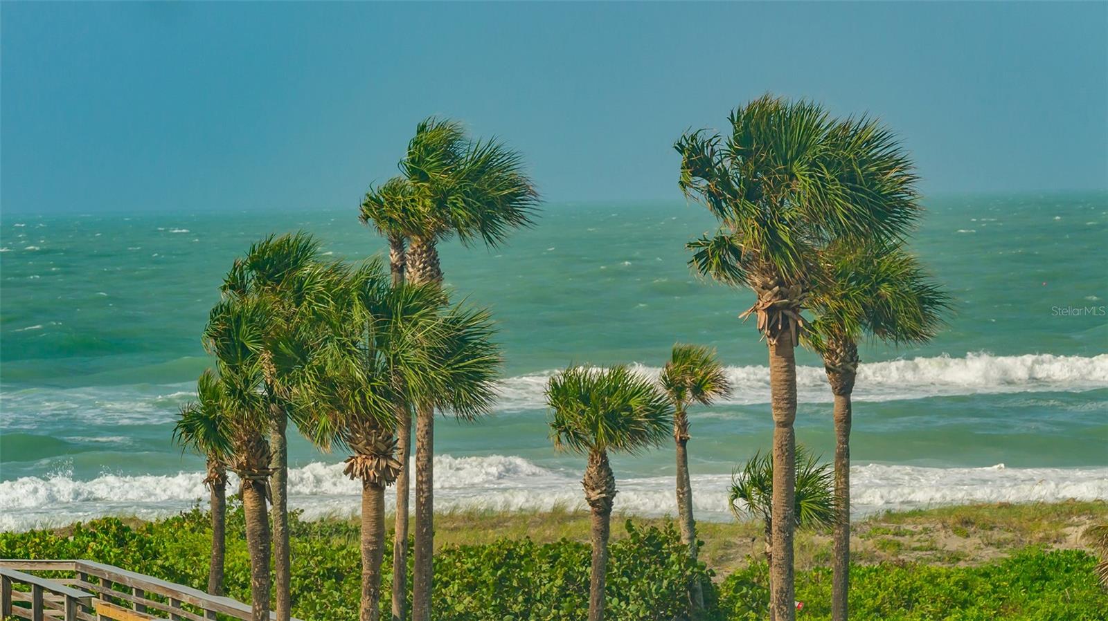 2109 GULF OF MEXICO DR #1203 — photo 44