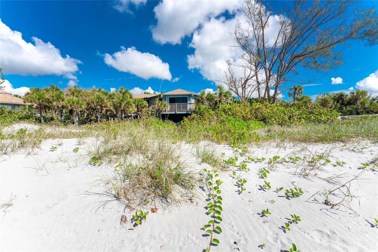 6580 MANASOTA KEY RD — photo 49