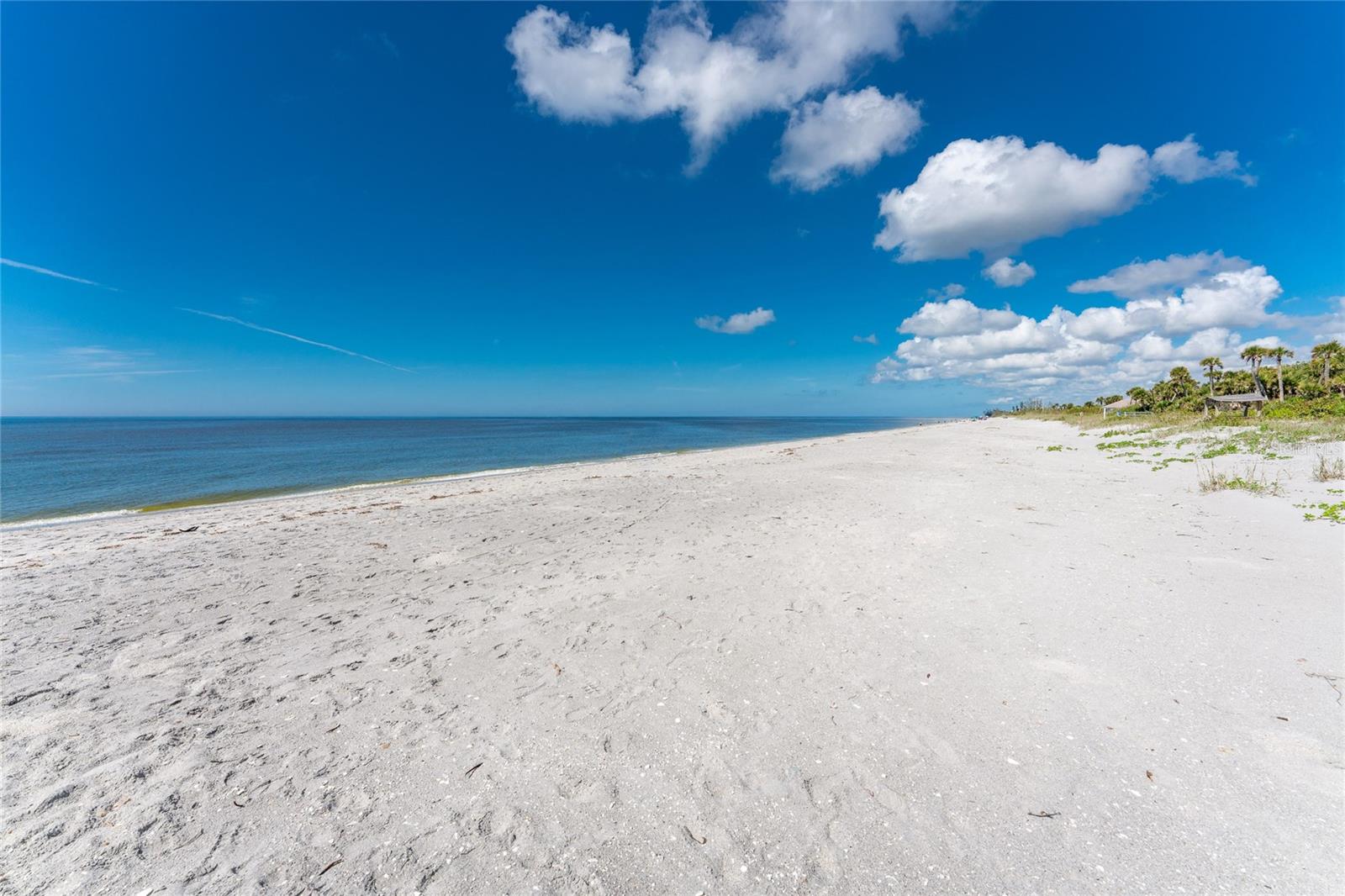 6580 MANASOTA KEY RD — photo 50