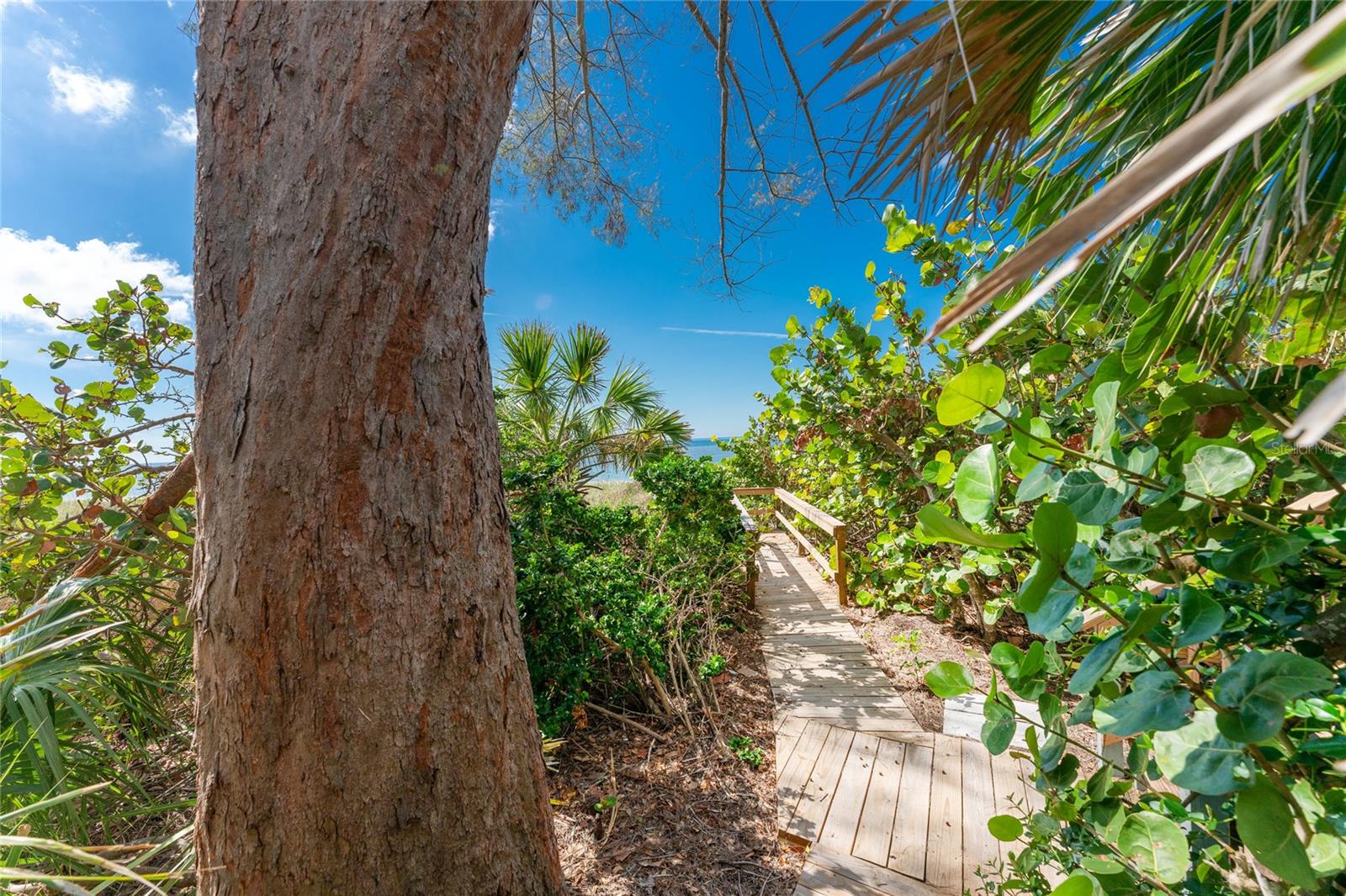 6580 MANASOTA KEY RD — photo 24