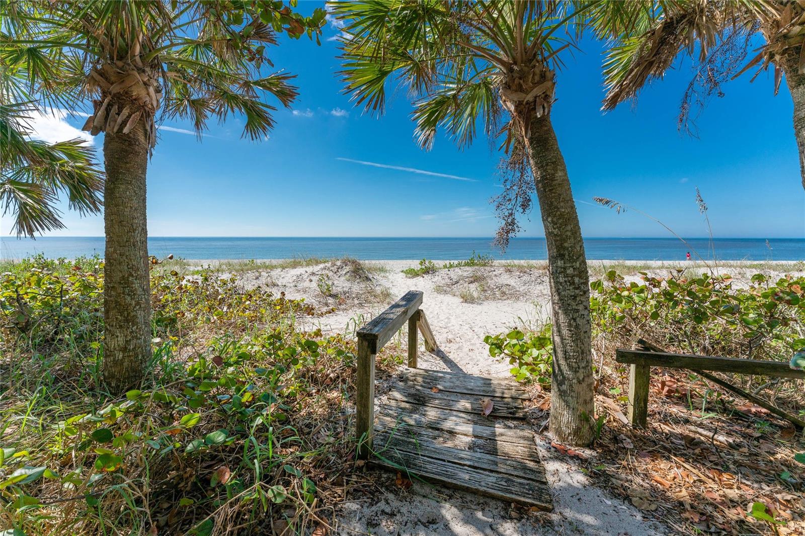 6580 MANASOTA KEY RD — photo 3
