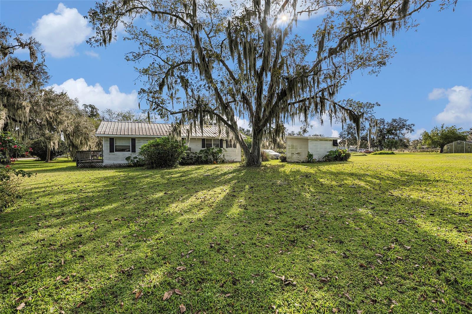 331 LEWIS RD — photo 49
