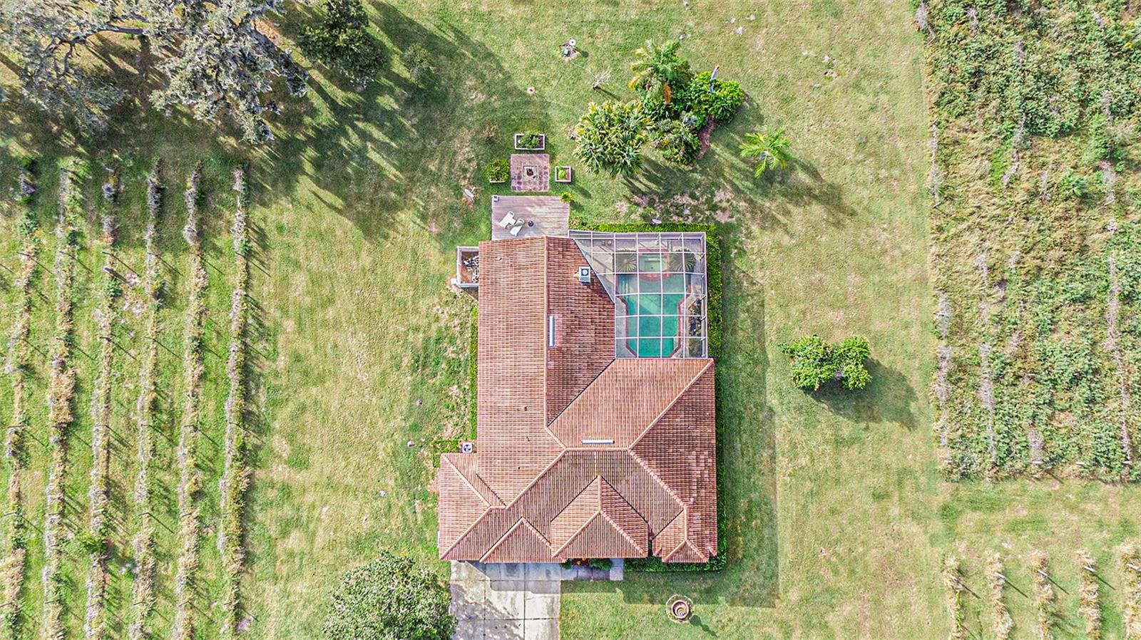 331 LEWIS RD — photo 63