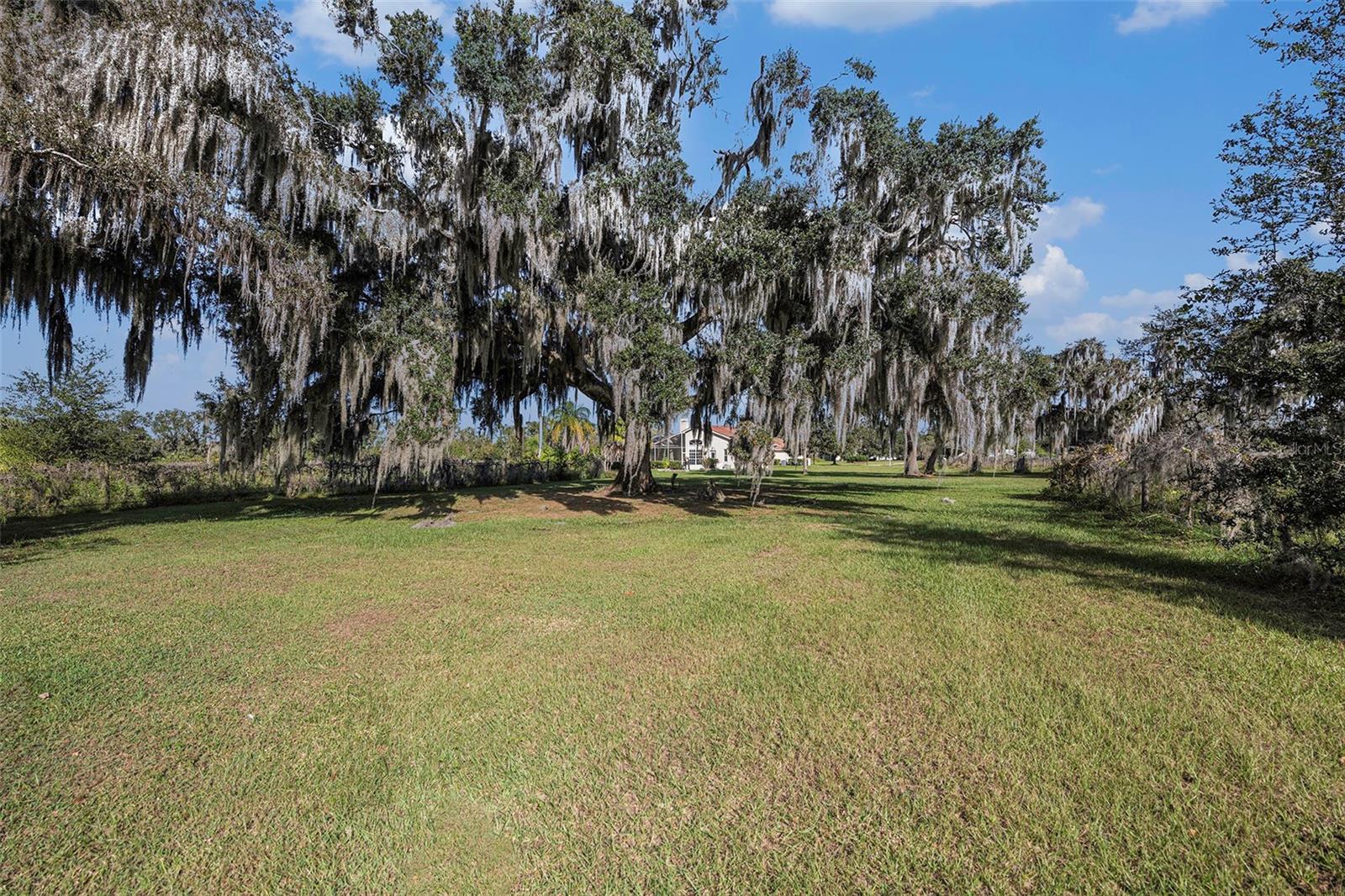 331 LEWIS RD — photo 61