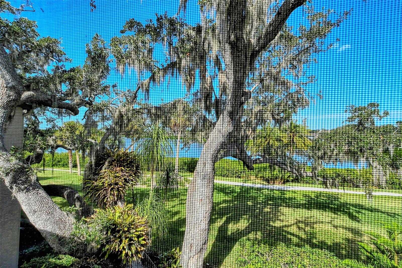 1601 BAYHOUSE POINT DR #BA206 — photo 25