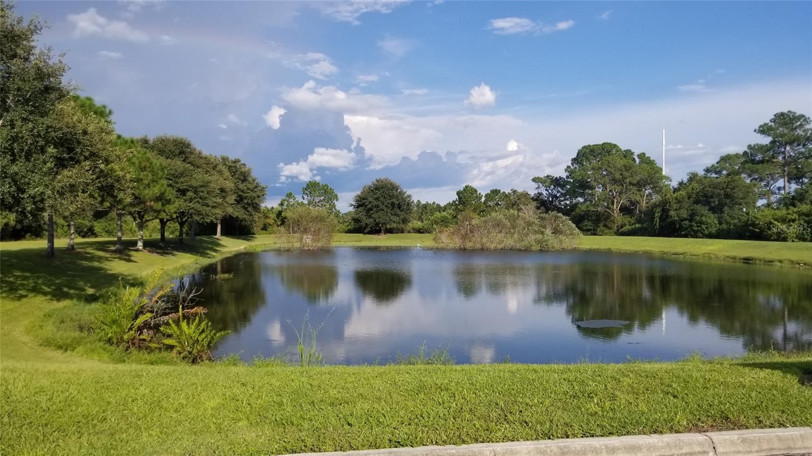 1127226126 LARGELEAF ST — photo 30