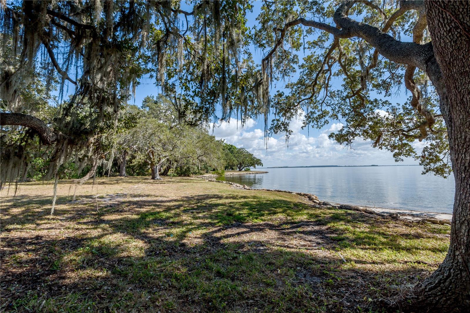 6210 BAYSHORE BLVD — photo 5