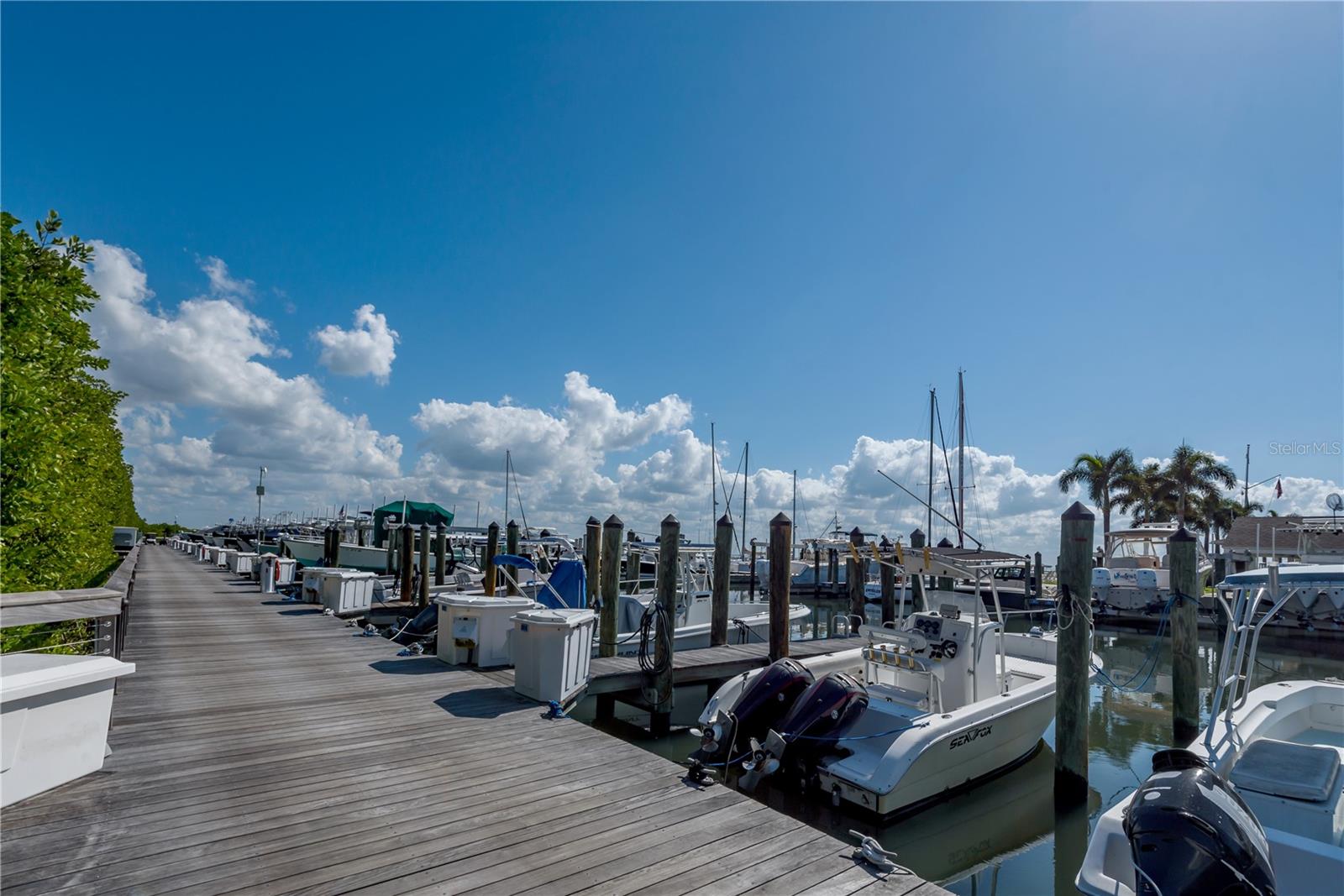 6210 BAYSHORE BLVD — photo 64