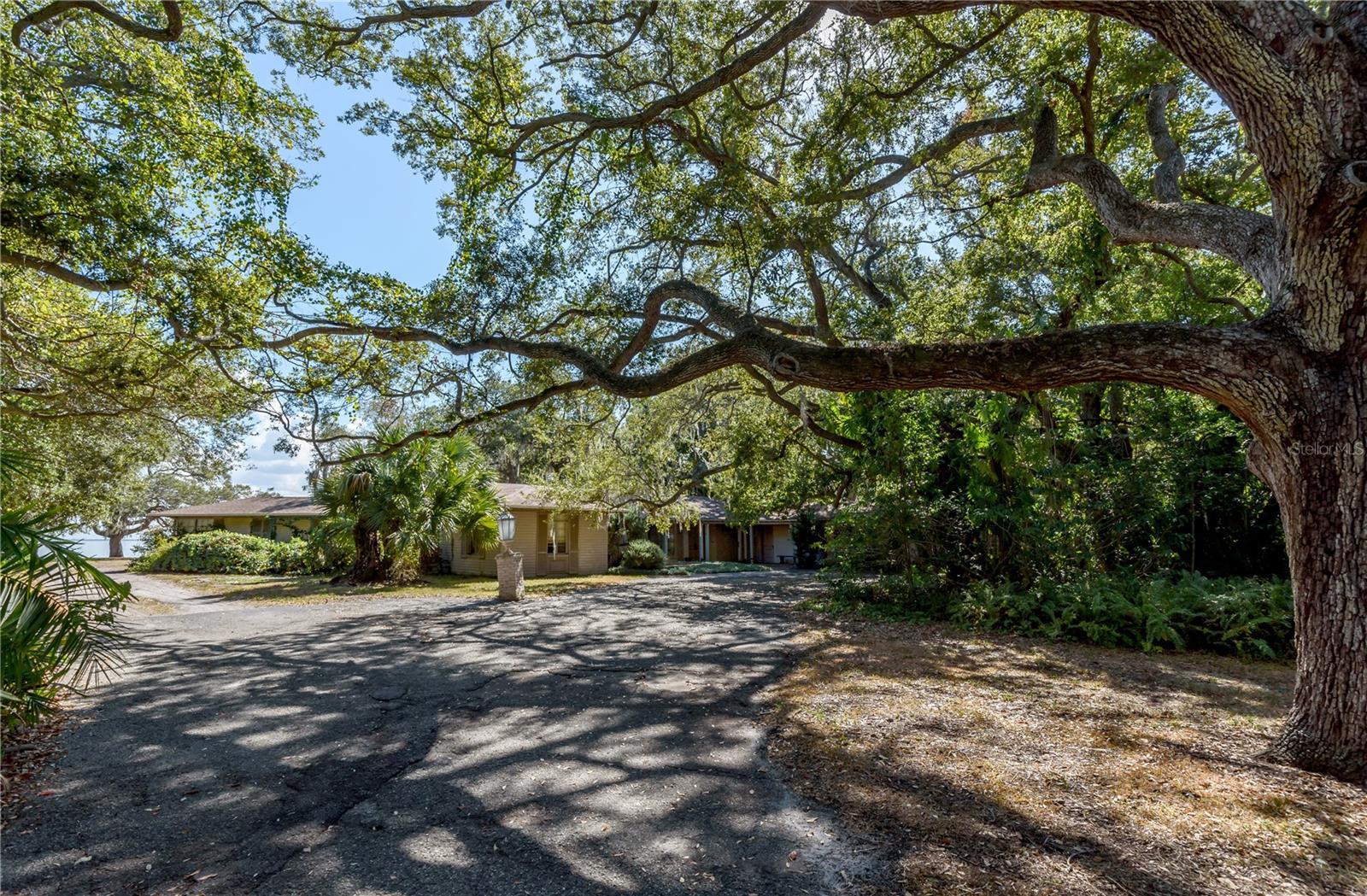 6210 BAYSHORE BLVD — photo 30