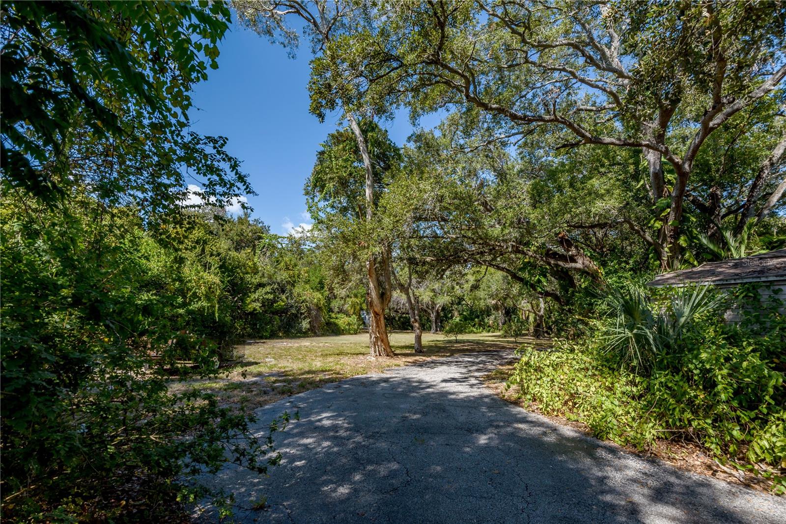 6210 BAYSHORE BLVD — photo 28