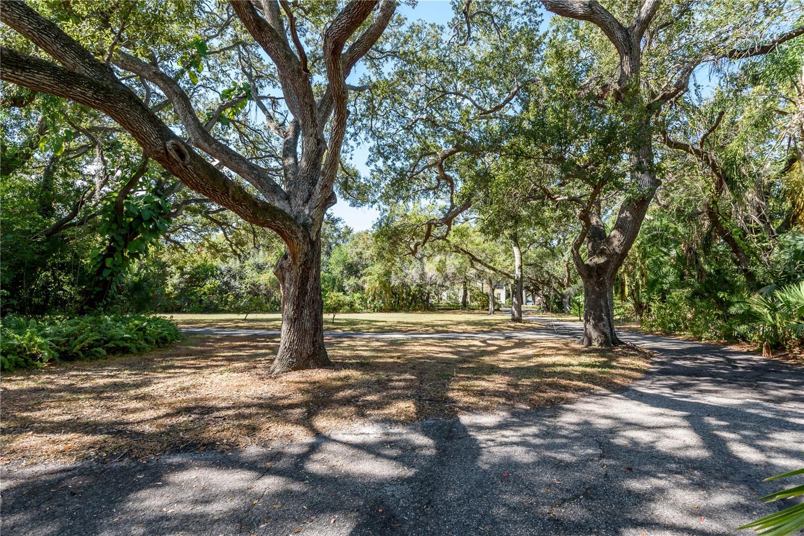 6210 BAYSHORE BLVD — photo 21