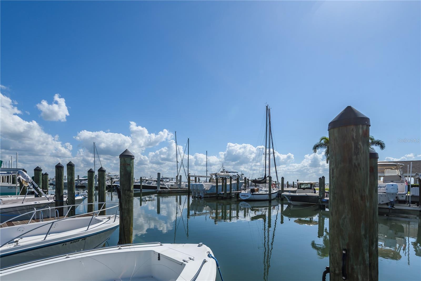 6210 BAYSHORE BLVD — photo 65