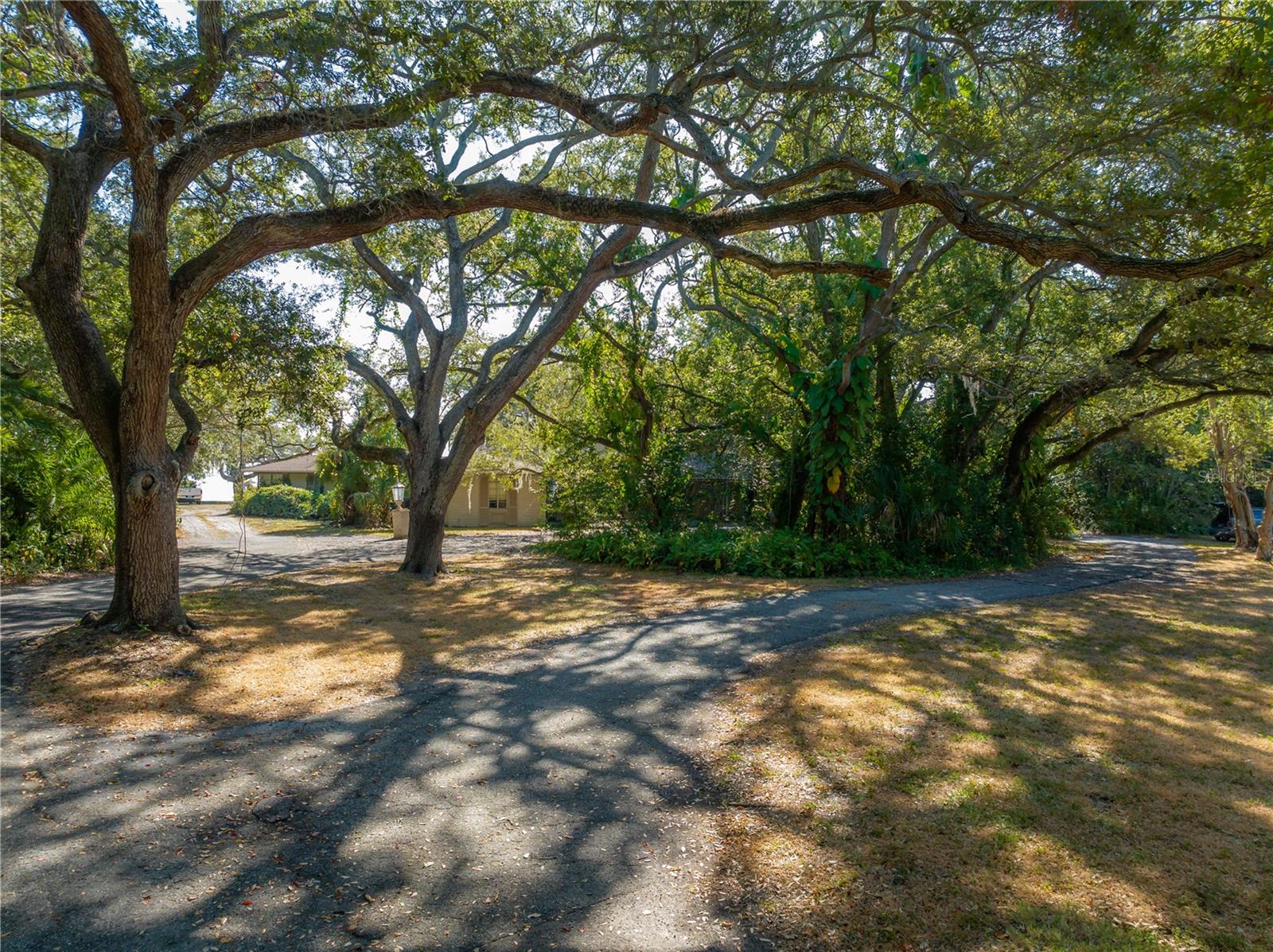 6210 BAYSHORE BLVD — photo 43