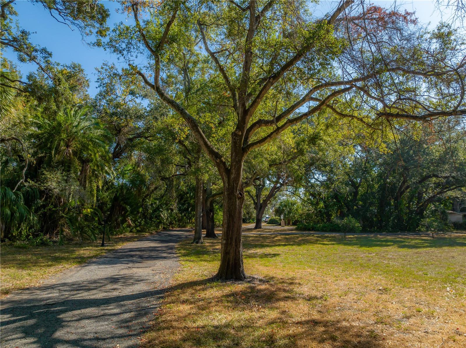 6210 BAYSHORE BLVD — photo 42