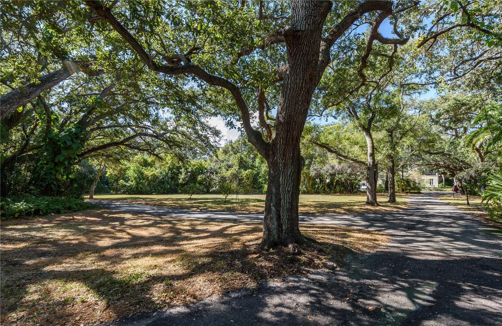 6210 BAYSHORE BLVD — photo 22