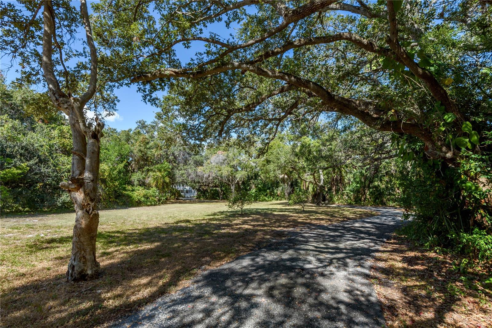 6210 BAYSHORE BLVD — photo 27