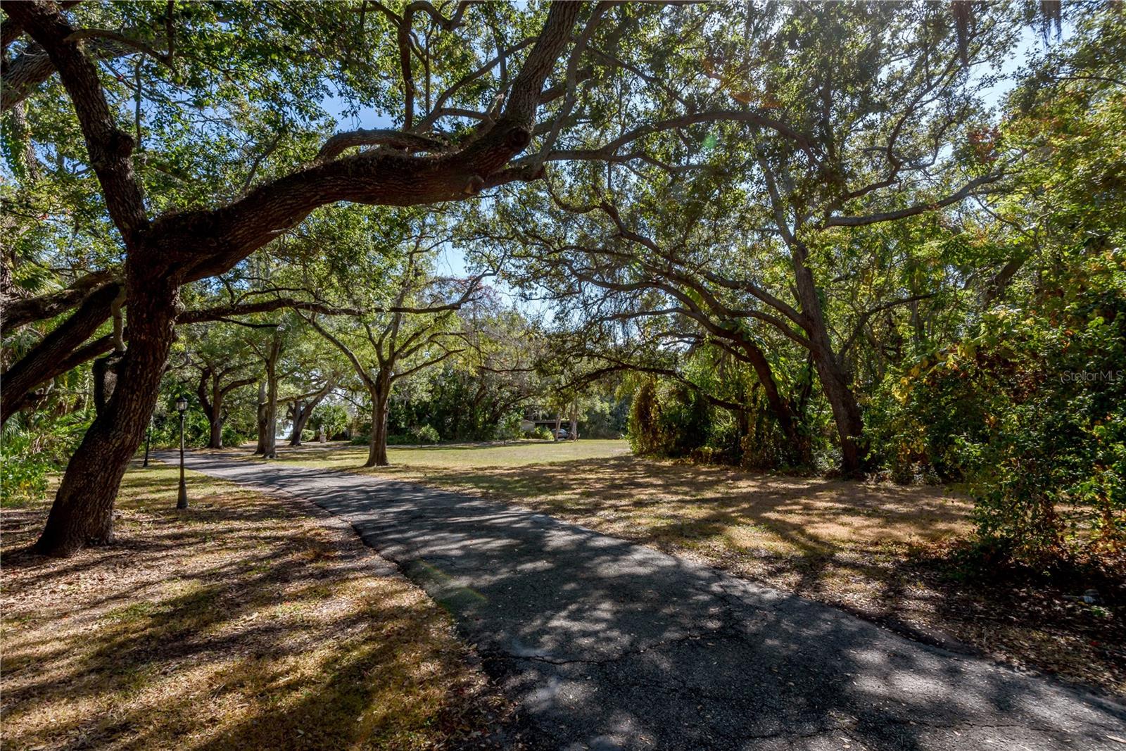 6210 BAYSHORE BLVD — photo 25
