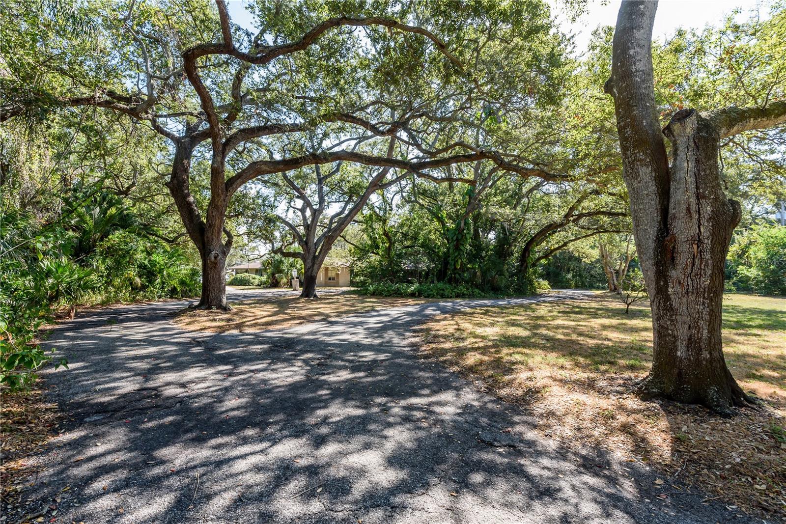 6210 BAYSHORE BLVD — photo 23