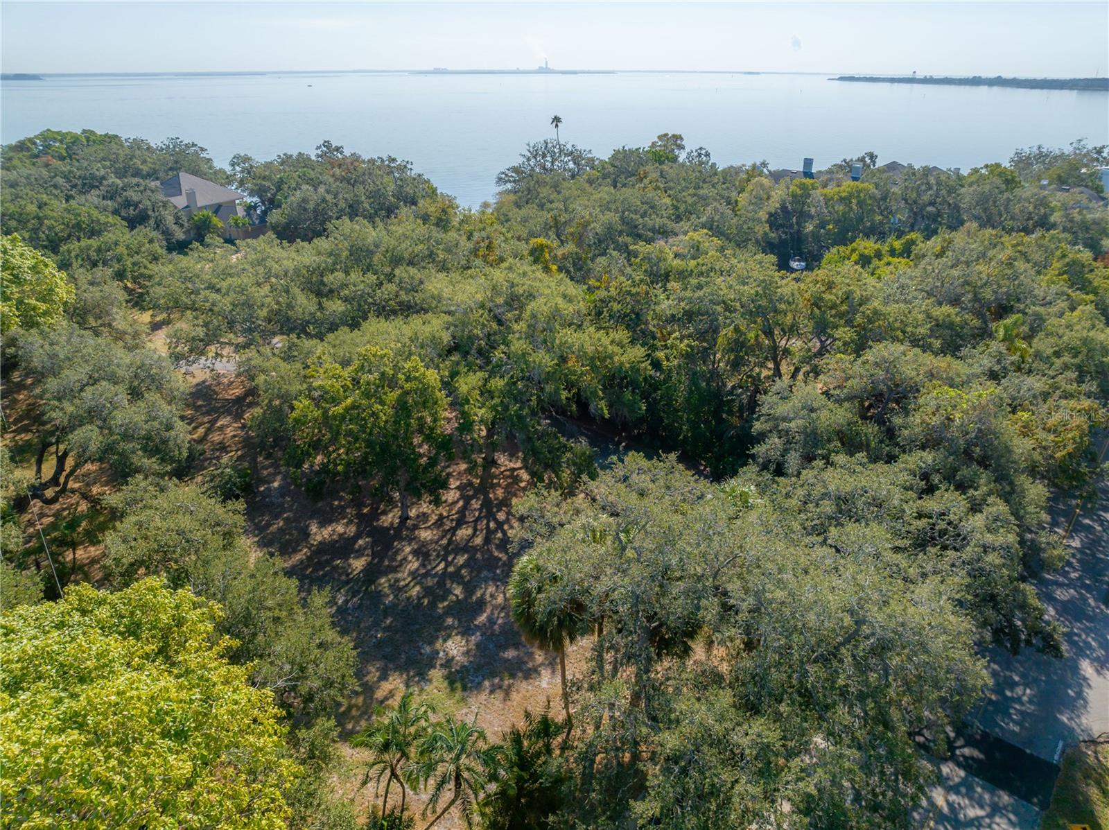 6210 BAYSHORE BLVD — photo 37