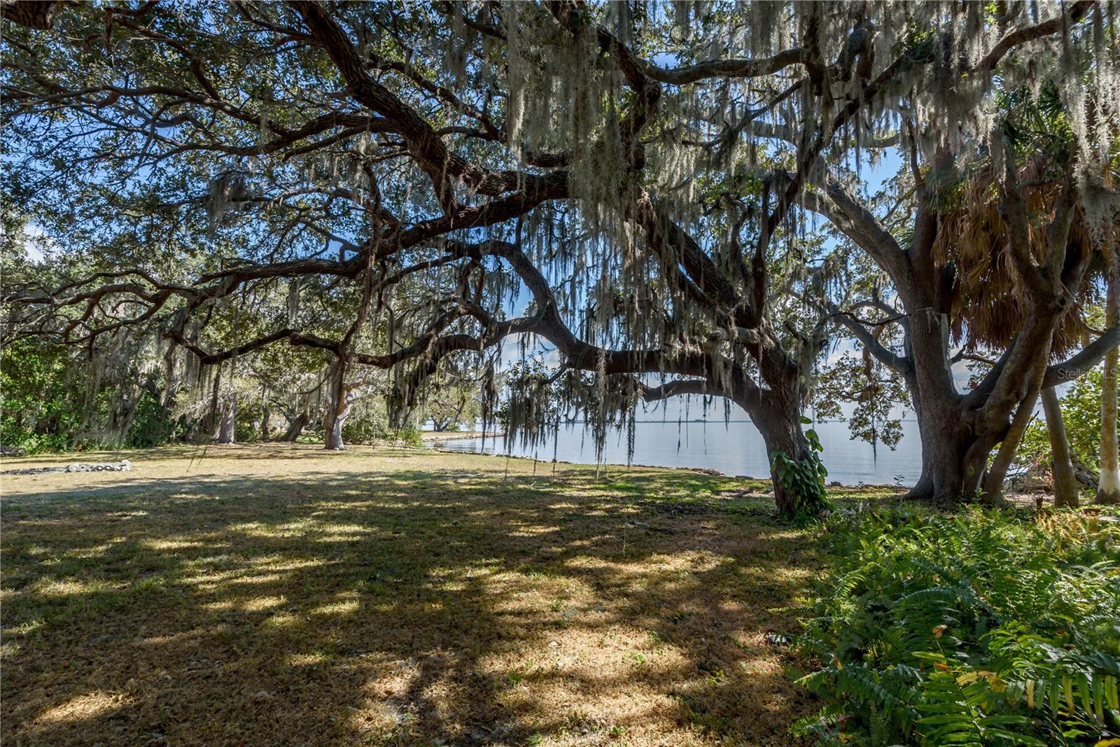 6210 BAYSHORE BLVD — photo 17