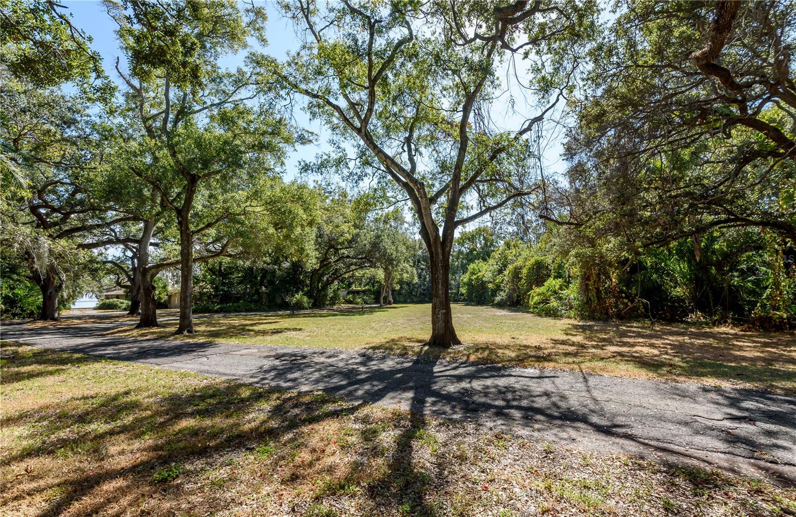 6210 BAYSHORE BLVD — photo 24