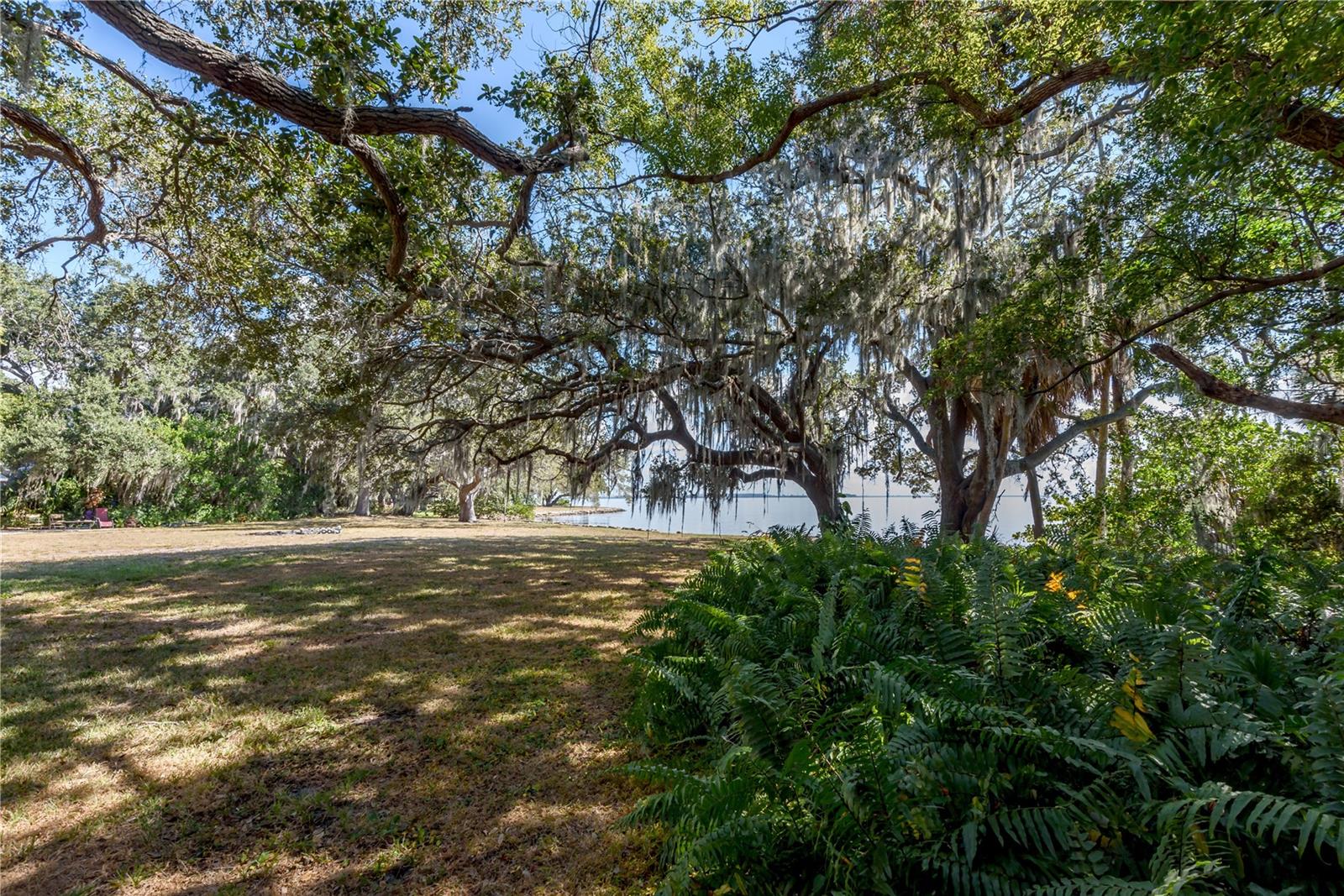 6210 BAYSHORE BLVD — photo 11