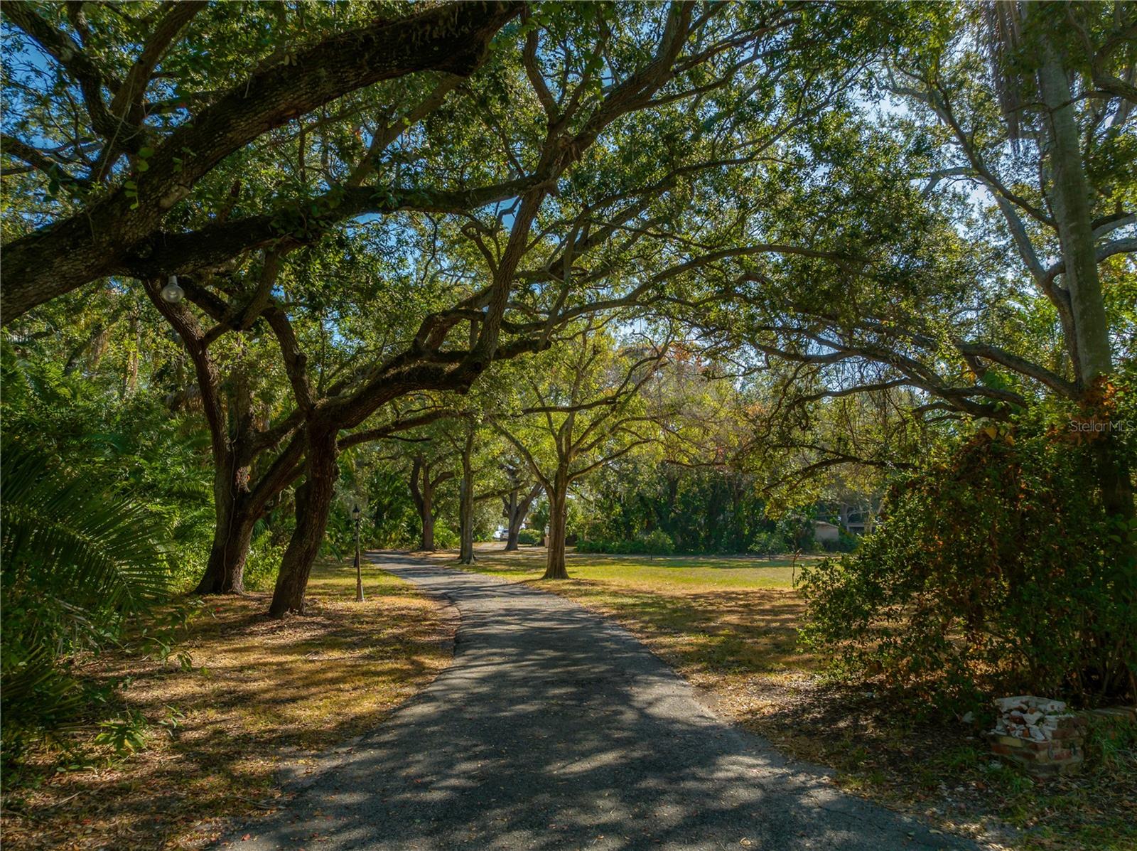 6210 BAYSHORE BLVD — photo 40