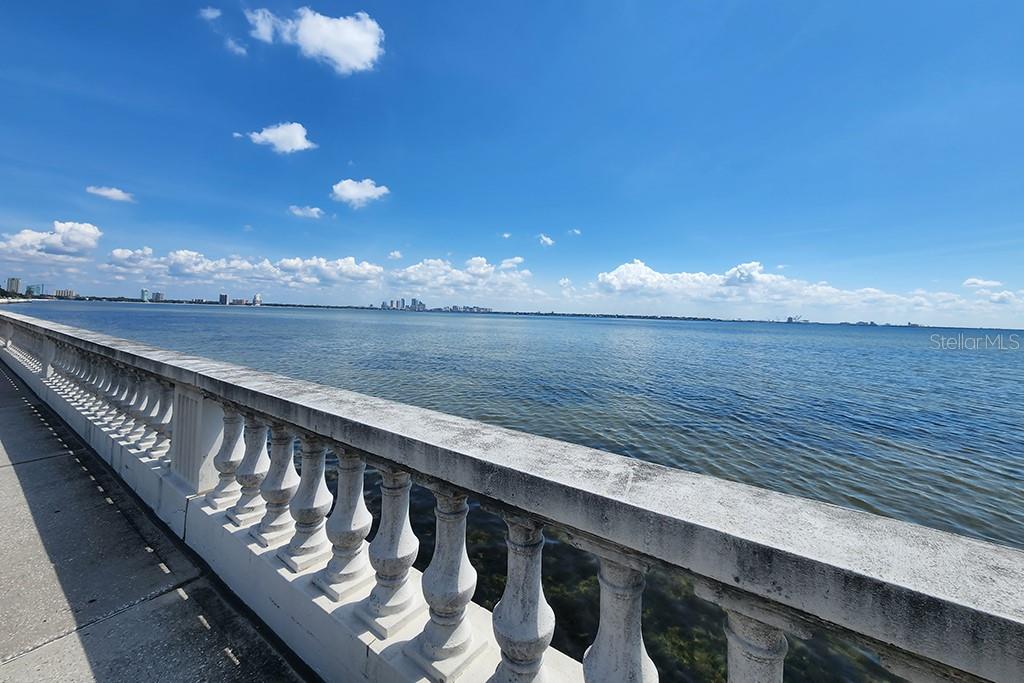 6210 BAYSHORE BLVD — photo 61