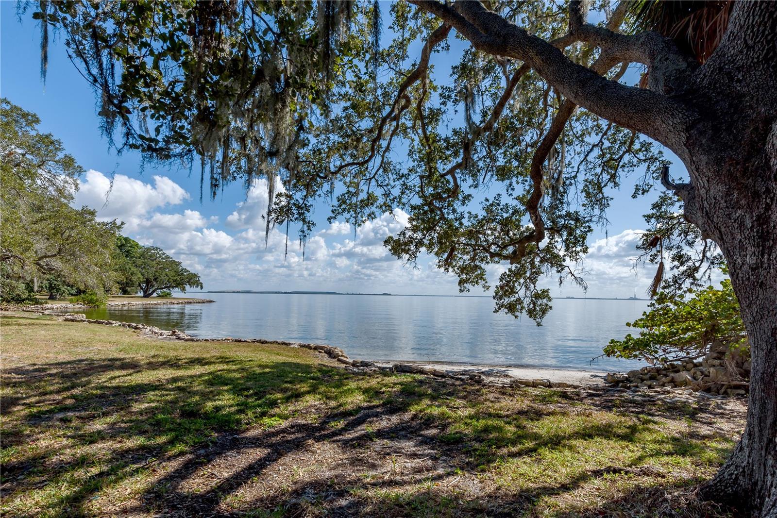 6210 BAYSHORE BLVD — photo 6