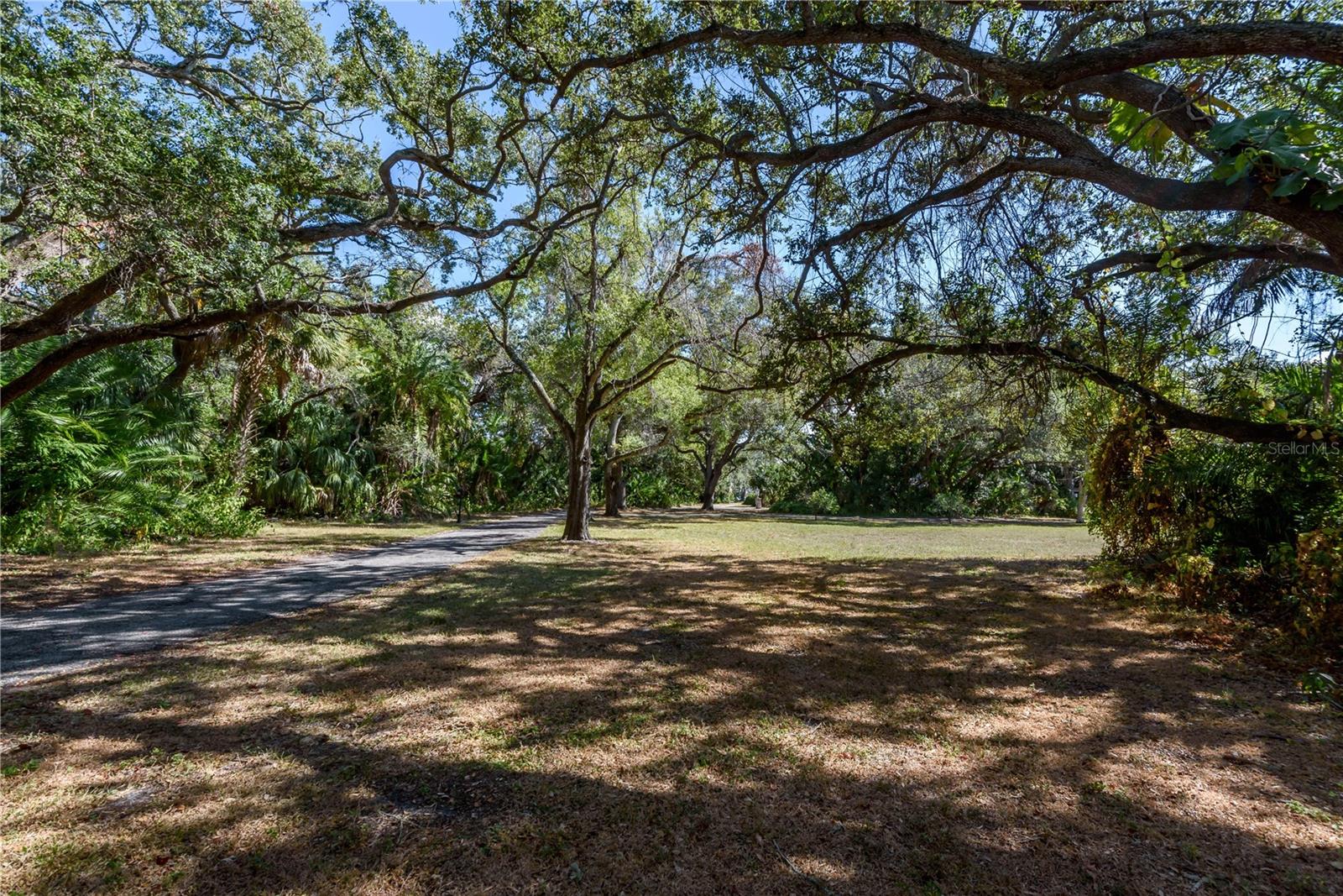 6210 BAYSHORE BLVD — photo 26