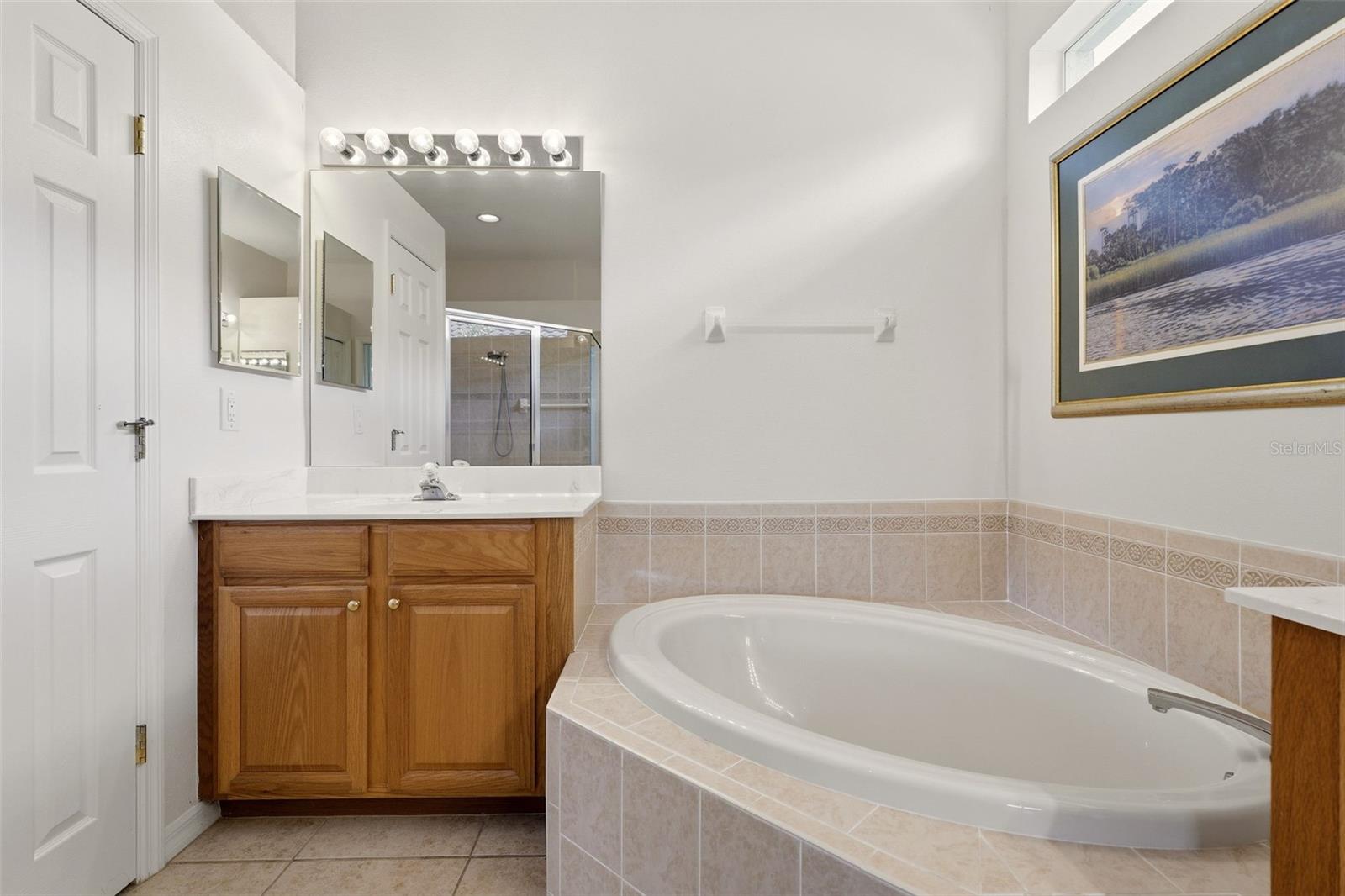 5301 LAUREL OAK CT — photo 29