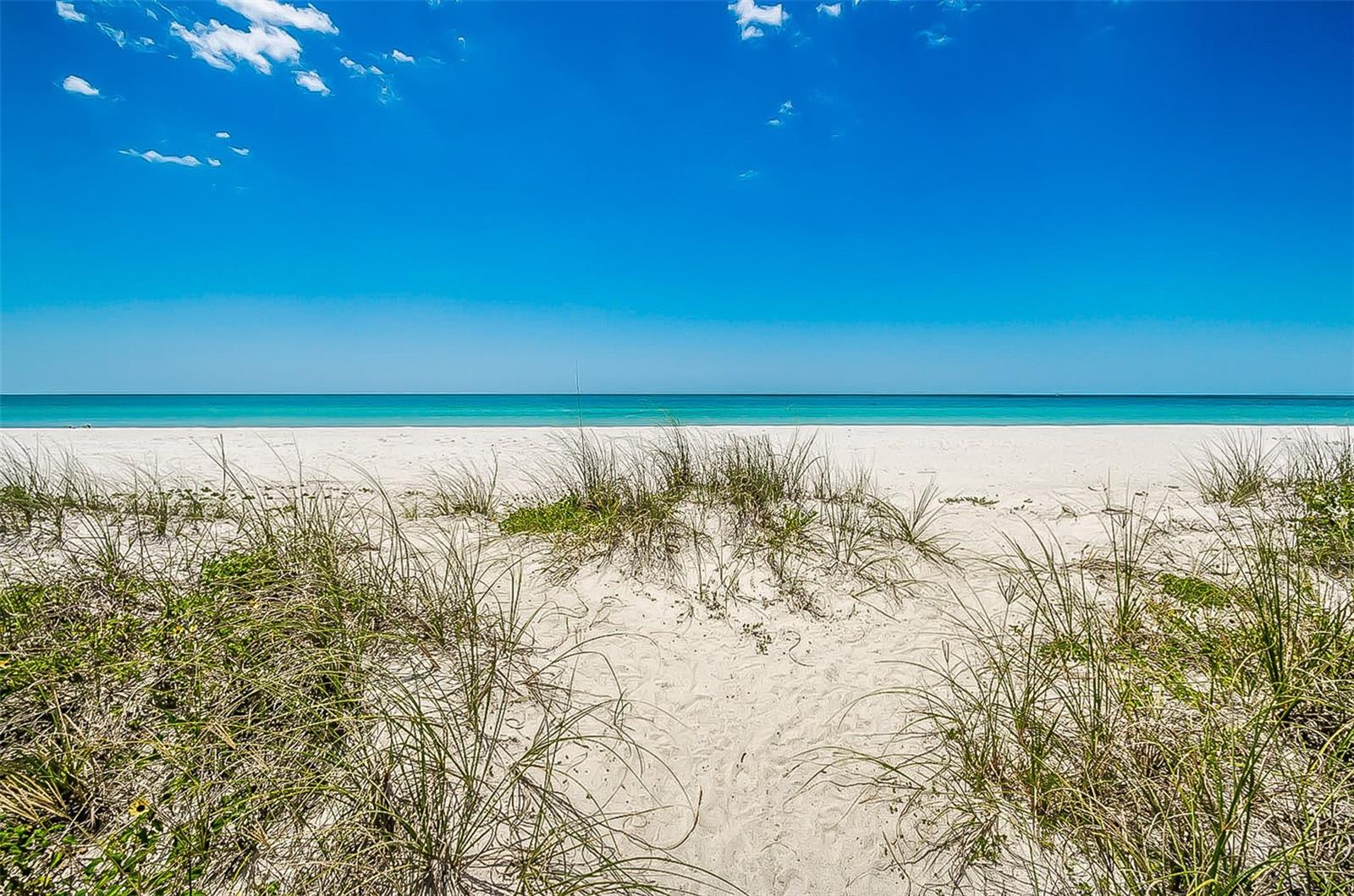 2900 GULF BLVD #204 — photo 35