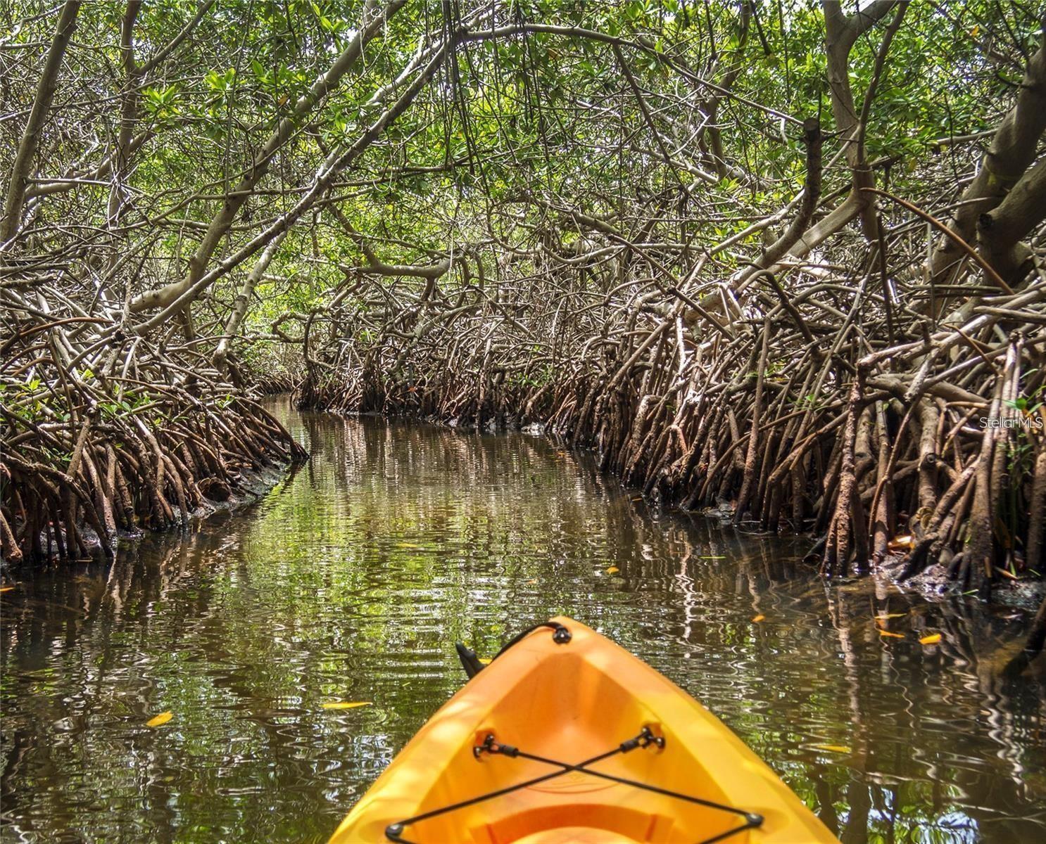 Home in SARASOTA — photo 8