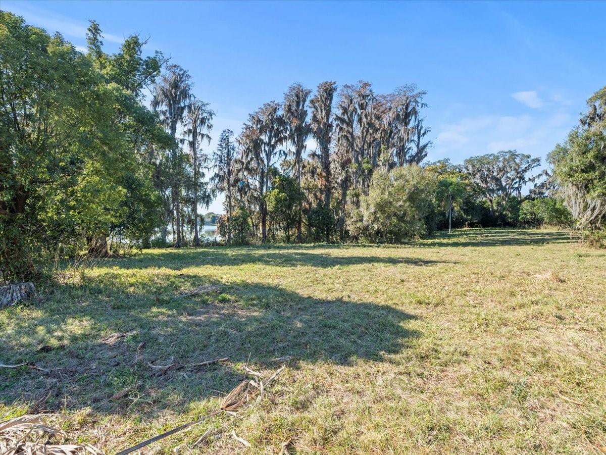 BOY SCOUT RD — photo 10