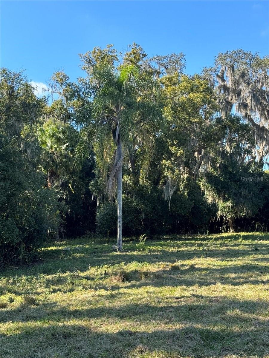 BOY SCOUT RD — photo 7
