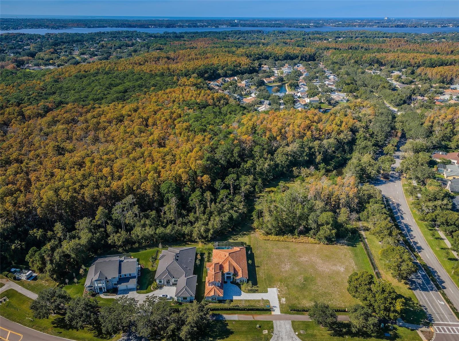4445 LANSBROOK PKWY — photo 8
