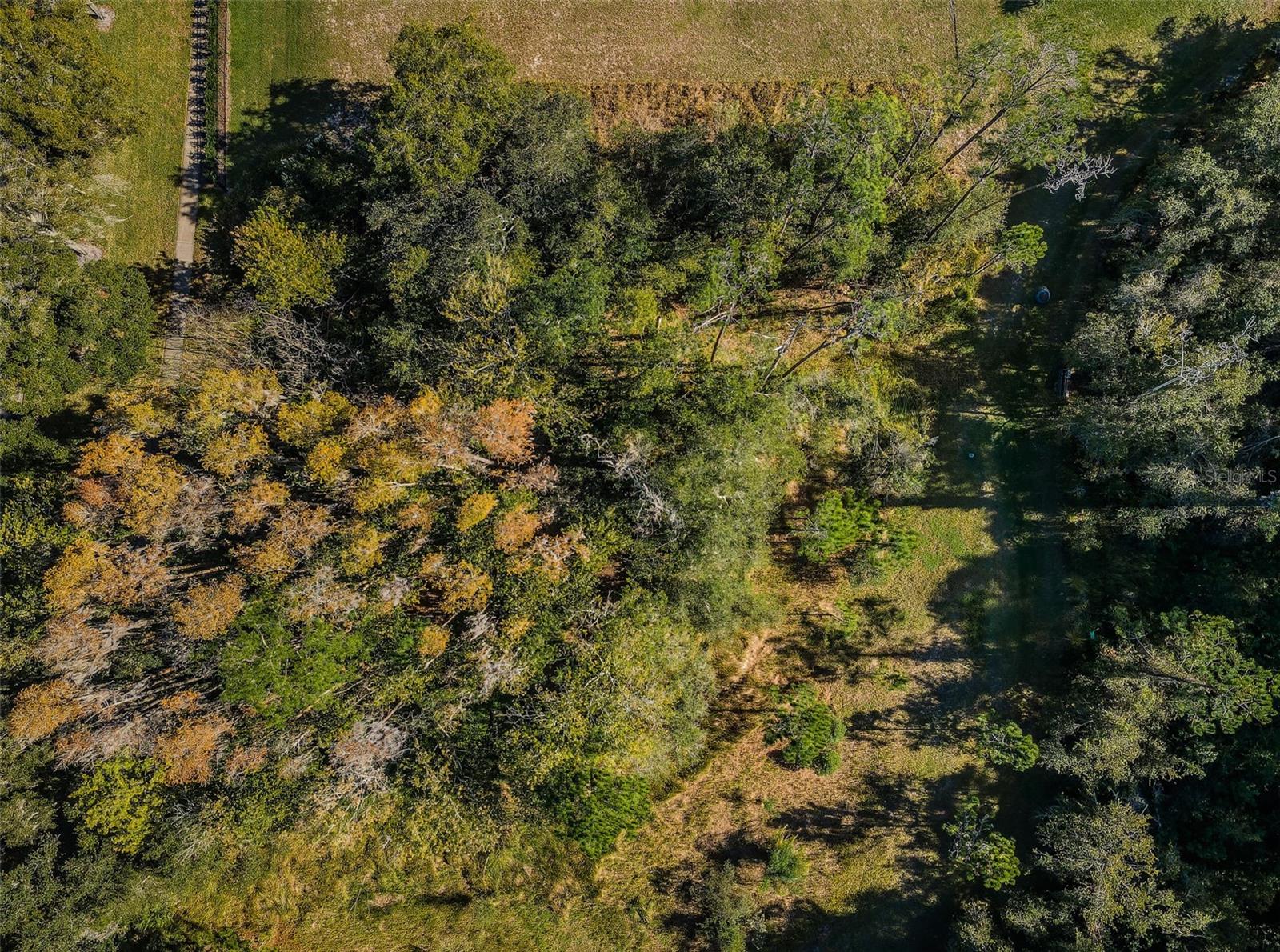4445 LANSBROOK PKWY — photo 2