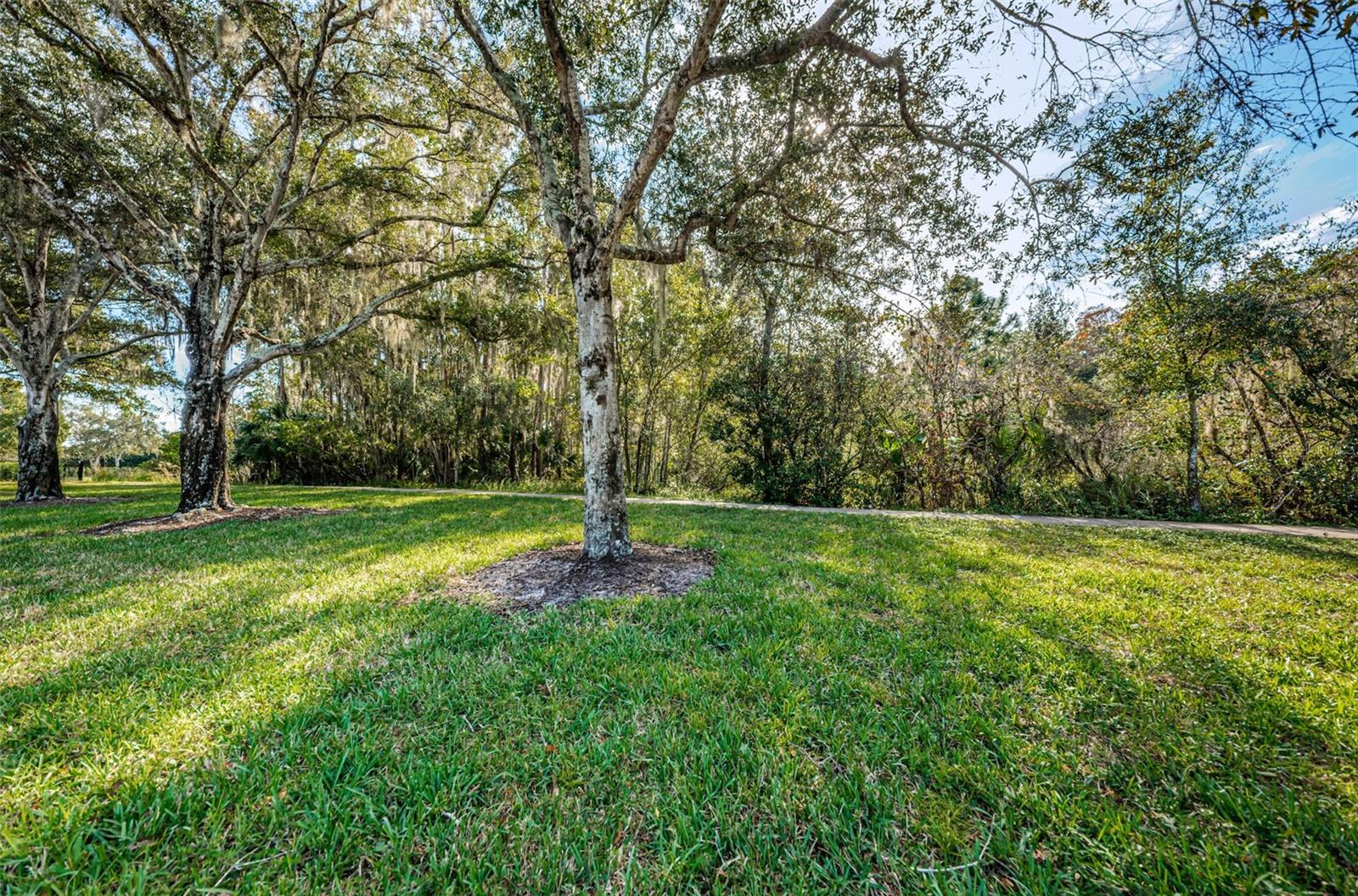 4445 LANSBROOK PKWY — photo 7