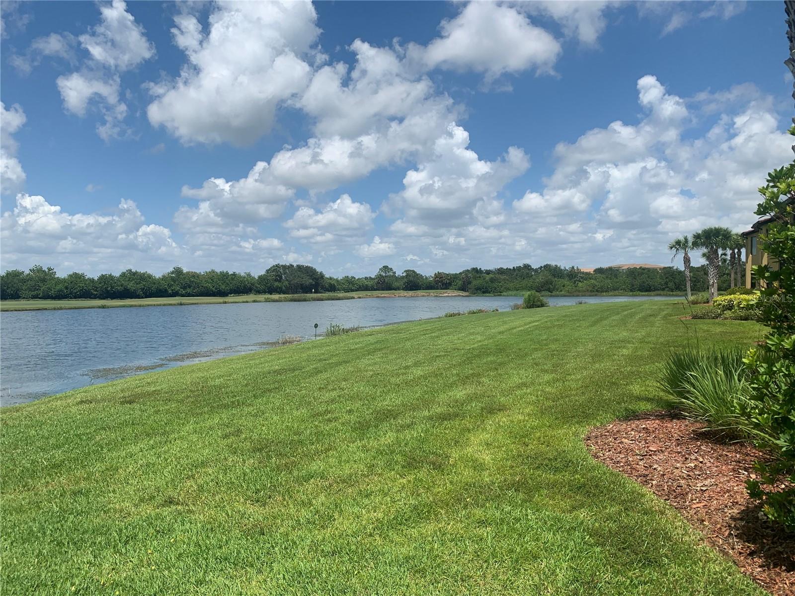 7225 RIVER HAMMOCK DR #202 — photo 26
