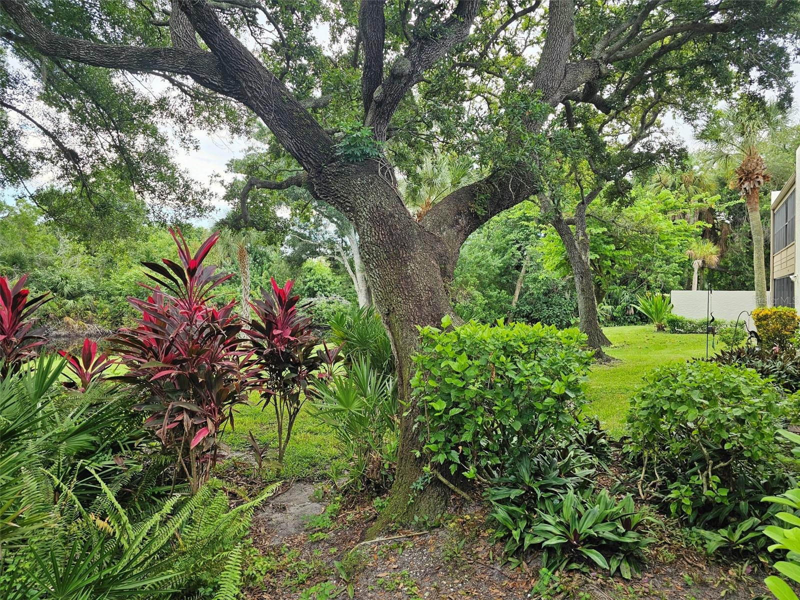 108 PINEHURST DR — photo 36
