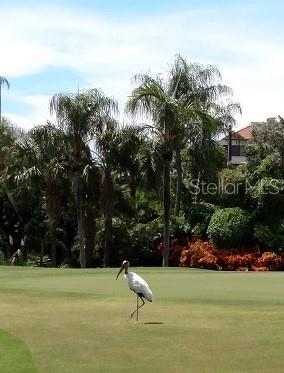 6322 PALMA DEL MAR BLVD S #305 — photo 2