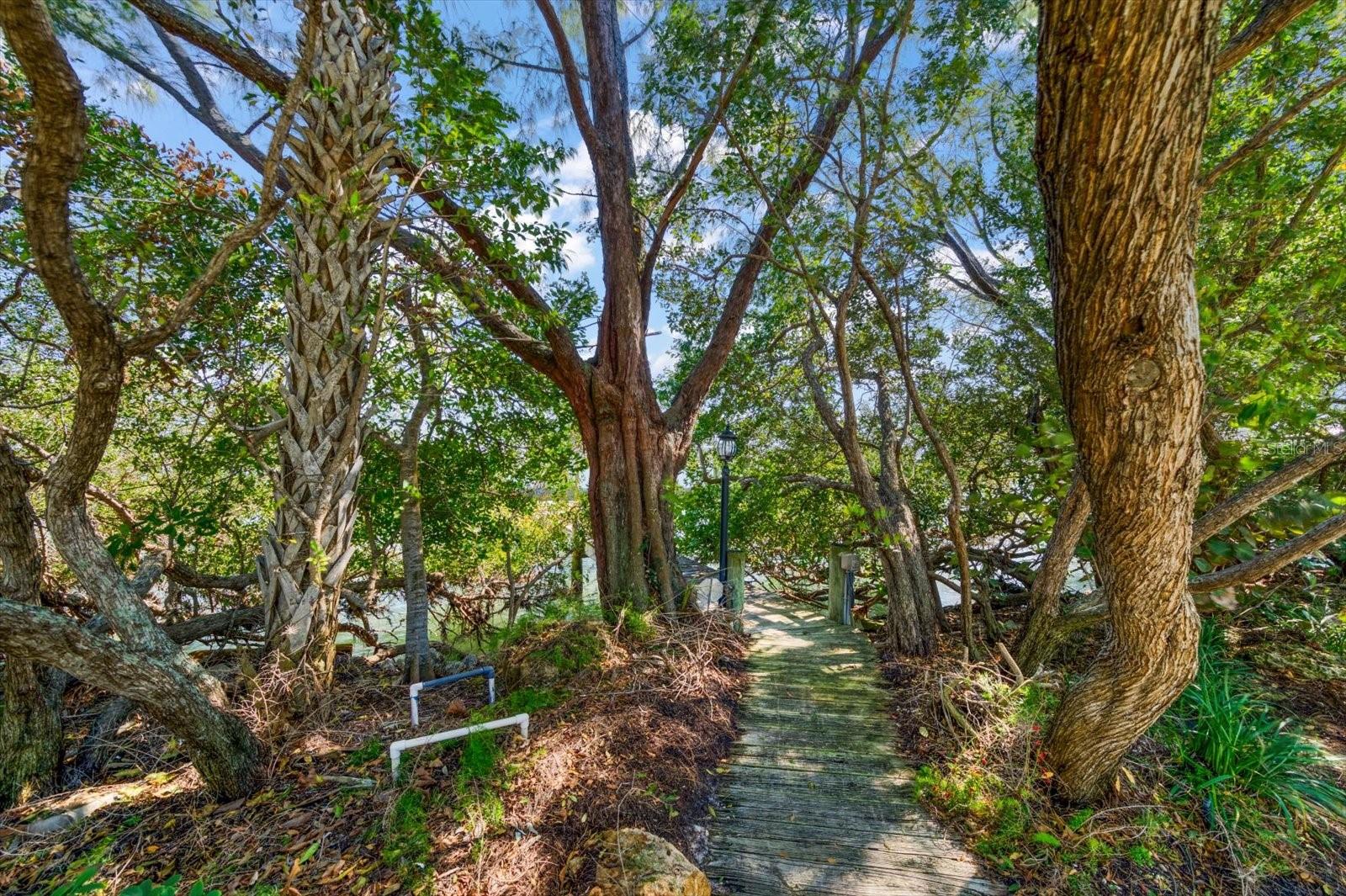 1198 MANDALAY PT — photo 41