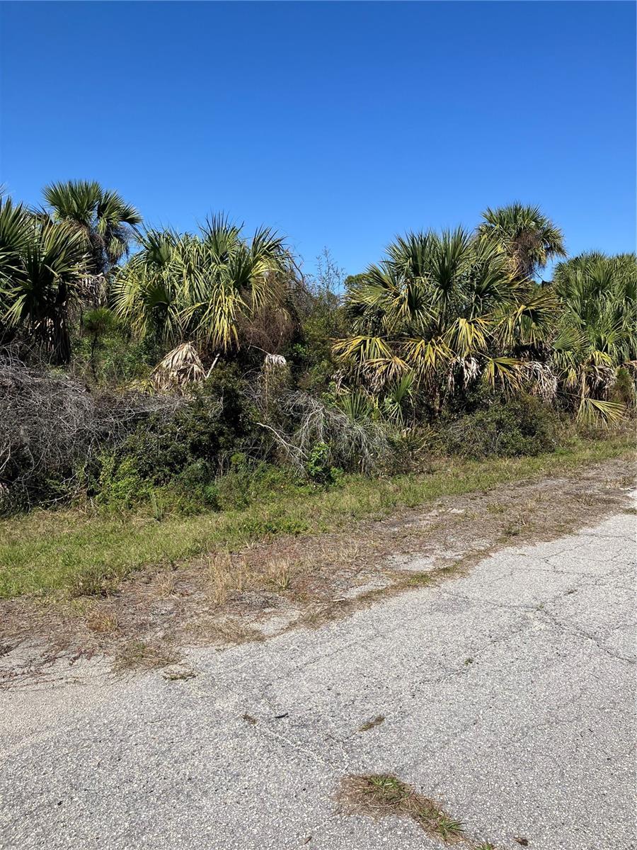 BIGNAY RD — photo 3