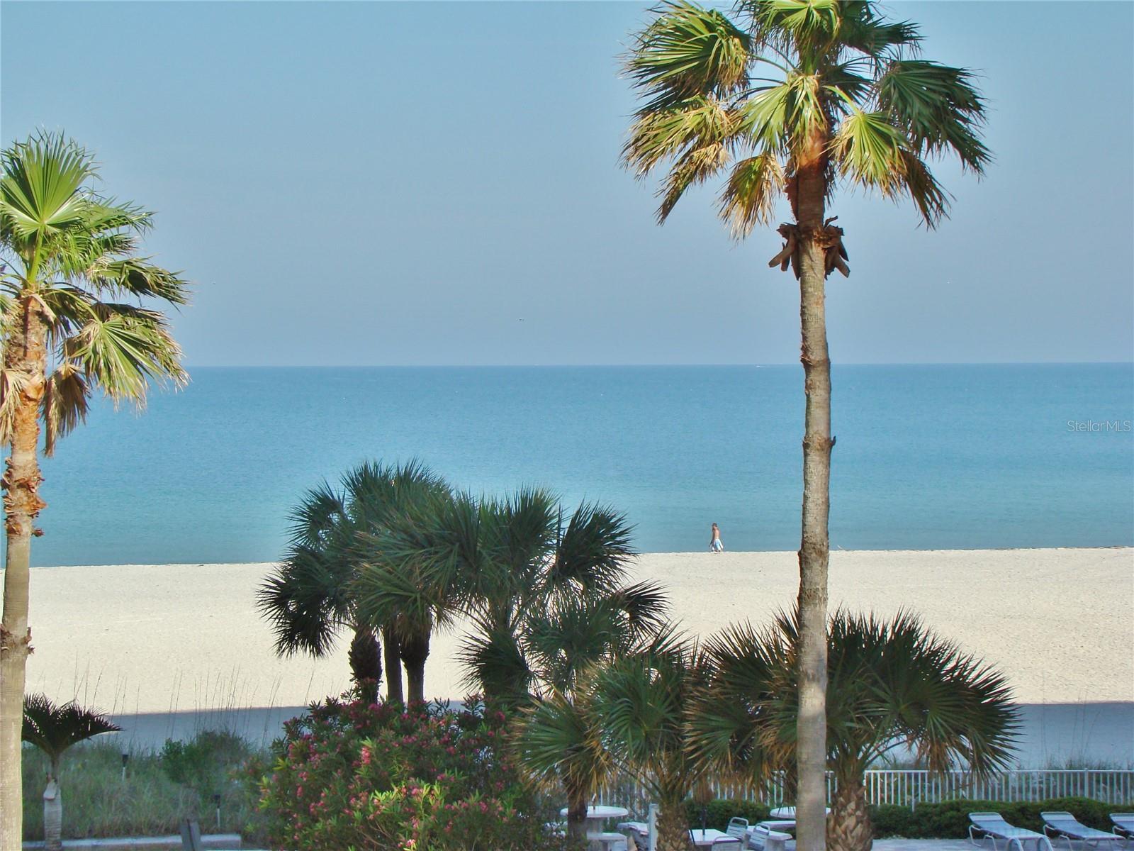1380 GULF BLVD #206 — photo 2