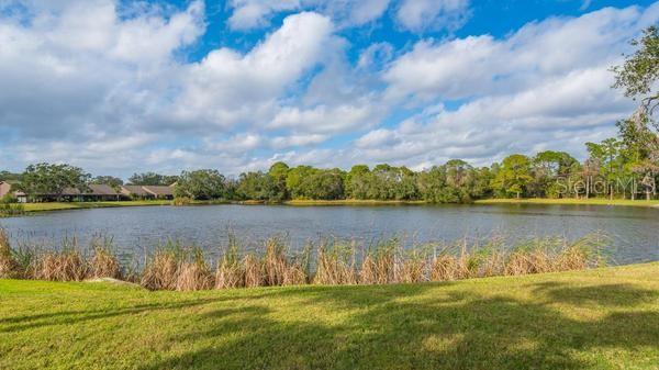 5905 DORAL DR — photo 38