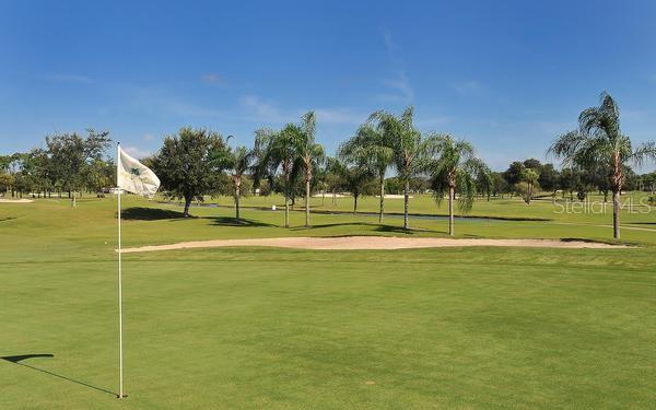 5905 DORAL DR — photo 43