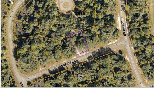 WORRELL LN — photo 4