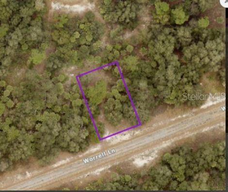 WORRELL LN — photo 3